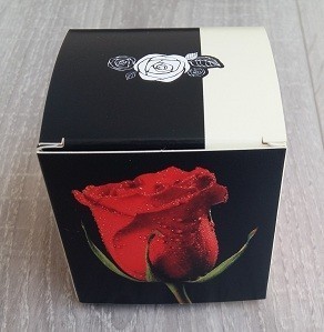 rosa-rossa