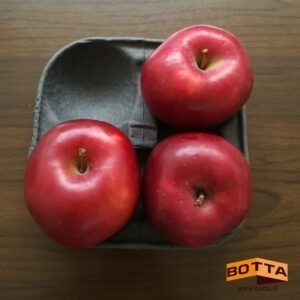 Eco-Paper Fruit Tray