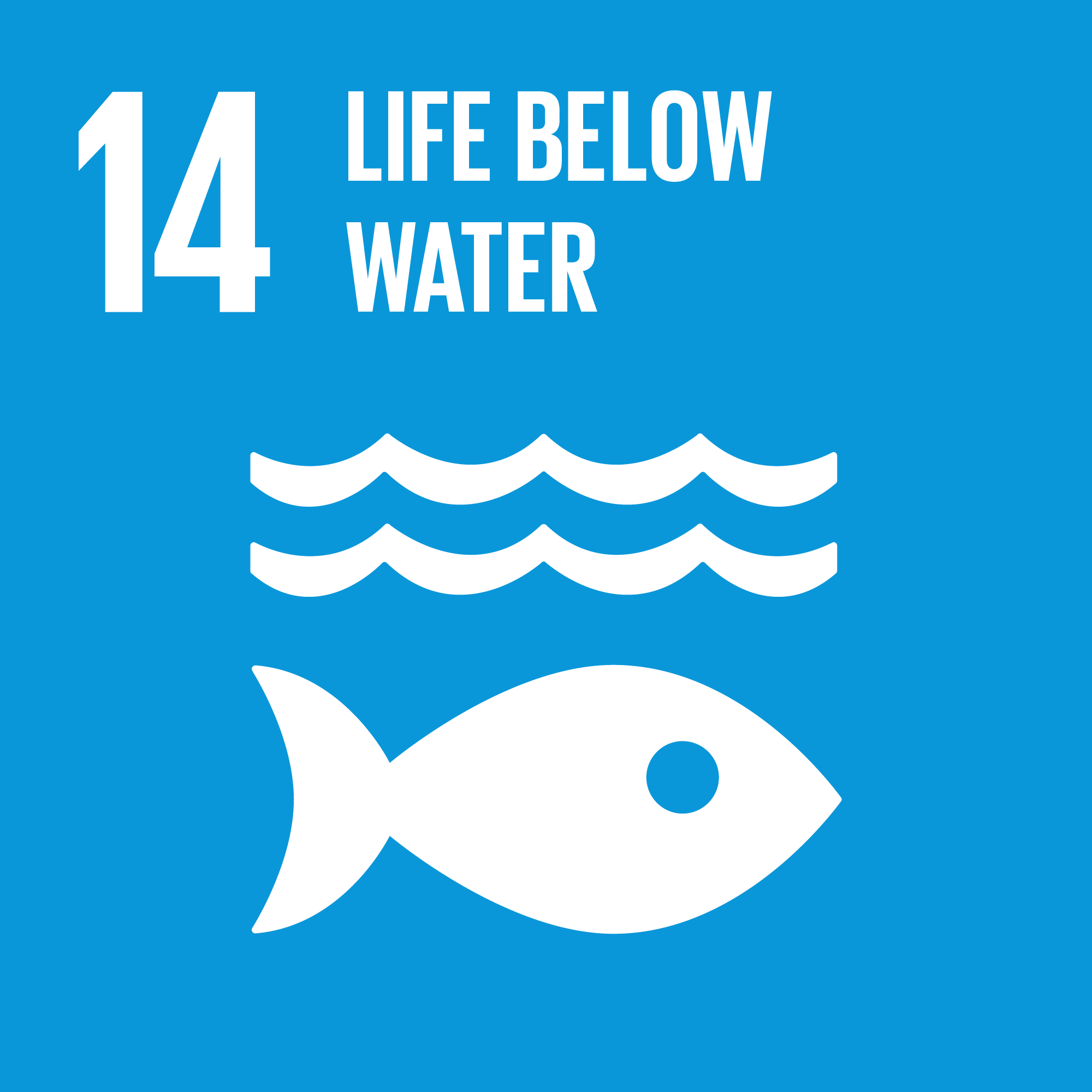 14 Leben unter Wasser